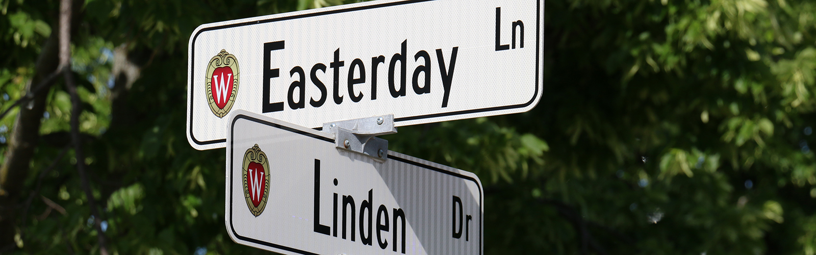 Header image for Contact Us