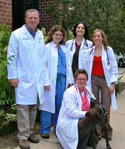 Veterinarians